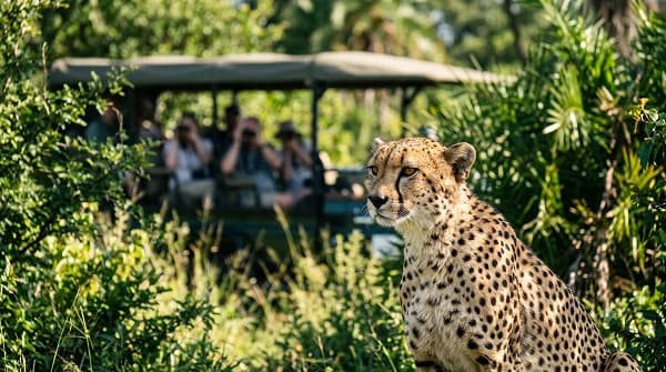Safari World & Marine Park Excursion